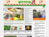 Desktop screenshot for baoventd.org