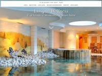 Screenshot of livignowellness.it