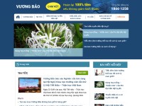 Desktop screenshot for vuongbao.vn