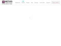 Desktop screenshot for netiks.com