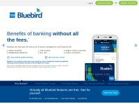 Desktop screenshot for bluebird.com