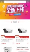 How 8844.com looks like on a mobile device such as an iPhone.