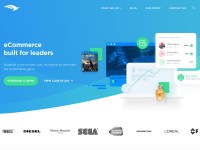 Desktop screenshot for scalefast.com