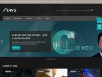 Desktop screenshot for dws.com