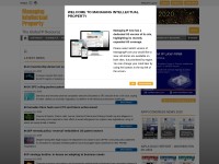 Desktop screenshot for managingip.com