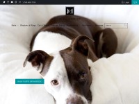 Desktop screenshot for animalsmatter.com
