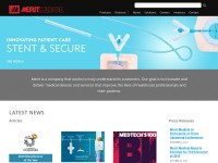 Desktop screenshot for merit.com