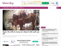 Desktop screenshot for khoedep.info