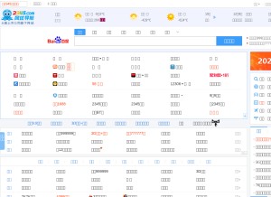 How 9991.com looks like on a tablet such as an iPad.