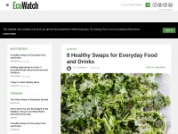 Desktop screenshot for ecowatch.com