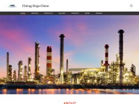 Desktop screenshot for chiragorgochem.com