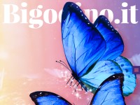 Desktop screenshot for bigodino.it