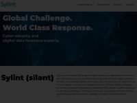 Desktop screenshot for sylint.com