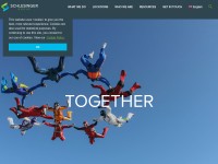 Desktop screenshot for schlesingerassociates.com