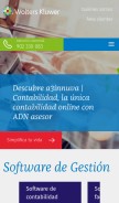 How a3software.com looks like on a mobile device such as an iPhone.