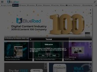 Desktop screenshot for bluetoad.com