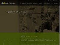 Desktop screenshot for platform161.com