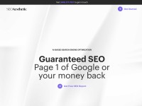 Desktop screenshot for seoaesthetic.com