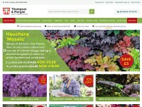 Desktop screenshot for thompson-morgan.com