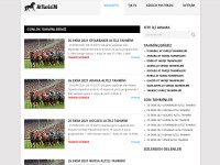 Desktop screenshot for atyarisim.com