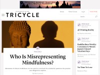 Desktop screenshot for tricycle.org