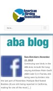 How aba.org looks like on a mobile device such as an iPhone.