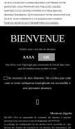How absolut.com looks like on a mobile device such as an iPhone.