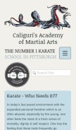 How academyofmartialarts.org looks like on a mobile device such as an iPhone.