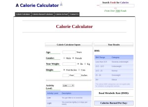 How acaloriecalculator.com looks like on a tablet such as an iPad.