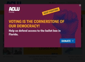 How aclufl.org looks like on a tablet such as an iPad.