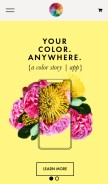 How acolorstory.com looks like on a mobile device such as an iPhone.