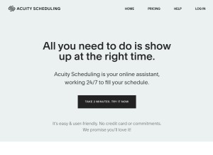 How acuityscheduling.com looks like on a tablet such as an iPad.