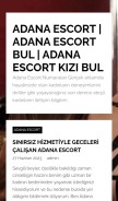 How adanatanitim.com looks like on a mobile device such as an iPhone.