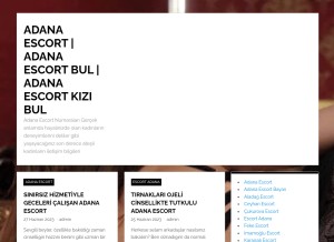 How adanatanitim.com looks like on a tablet such as an iPad.
