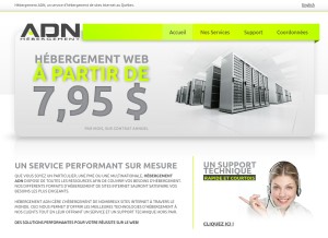 How adnhosting.ca looks like on a tablet such as an iPad.