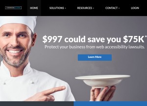 How adotpro.com looks like on a tablet such as an iPad.