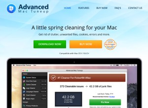 How advancedmactuneup.com looks like on a tablet such as an iPad.
