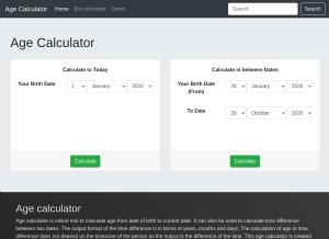 How agecalculatortool.com looks like on a tablet such as an iPad.