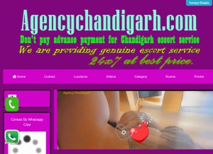 How agencychandigarh.com looks like on a tablet such as an iPad.