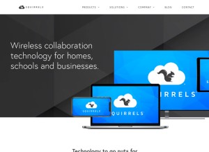 How airsquirrels.com looks like on a tablet such as an iPad.