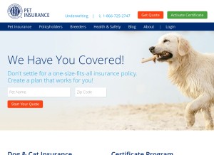 How akcpetinsurance.com looks like on a tablet such as an iPad.