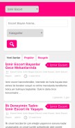 How alemizmir.com looks like on a mobile device such as an iPhone.