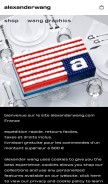 How alexanderwang.com looks like on a mobile device such as an iPhone.