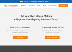 How alidropship.com looks like on a tablet such as an iPad.
