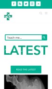 How aliem.com looks like on a mobile device such as an iPhone.