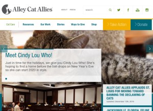 How alleycat.org looks like on a tablet such as an iPad.