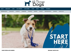 How allthingsdogs.com looks like on a tablet such as an iPad.