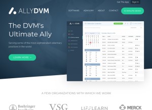 How allydvm.com looks like on a tablet such as an iPad.