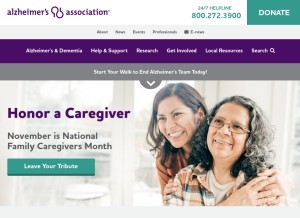 How alz.org looks like on a tablet such as an iPad.