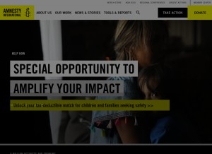 How amnestyusa.org looks like on a tablet such as an iPad.